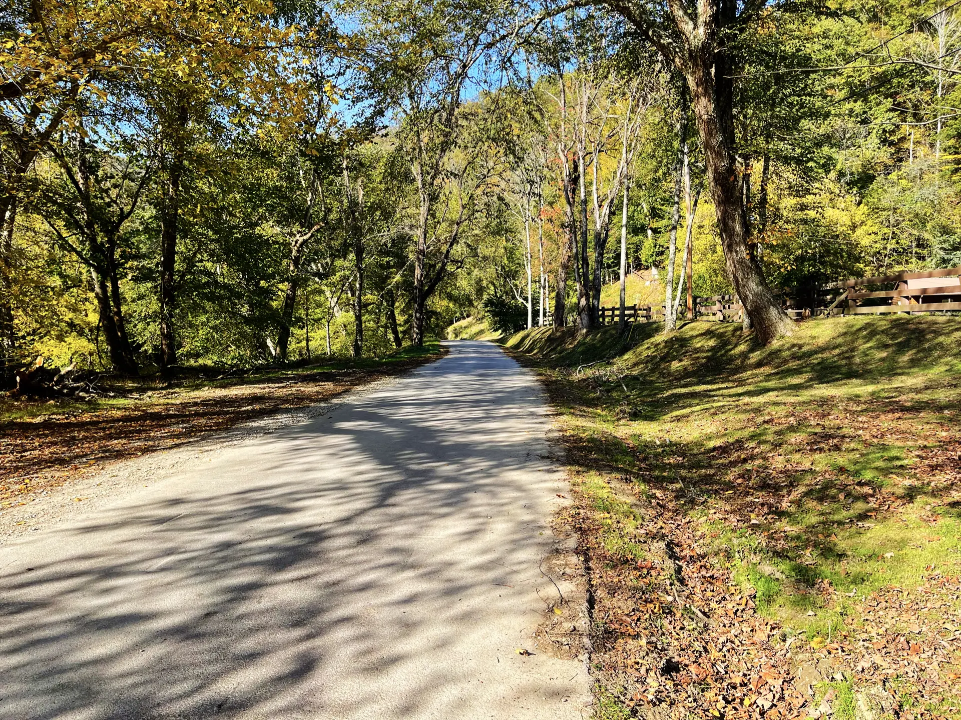 Tree-lined lane through Wendover in early autumn